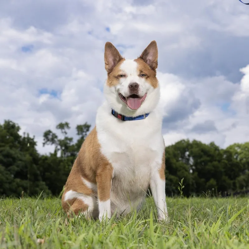 Reuben thumbnail 2