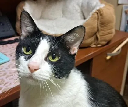 Fruit Loop  `a thumbnail 2