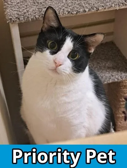 Fruit Loop  `a thumbnail 3