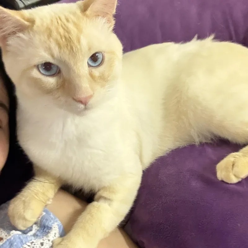 Sunny thumbnail 4