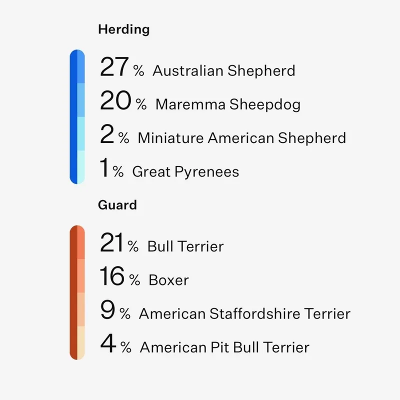 Lola~pro Trained And Affectionate thumbnail 3