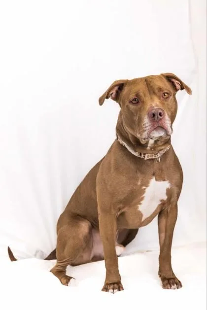 Champagne thumbnail 2