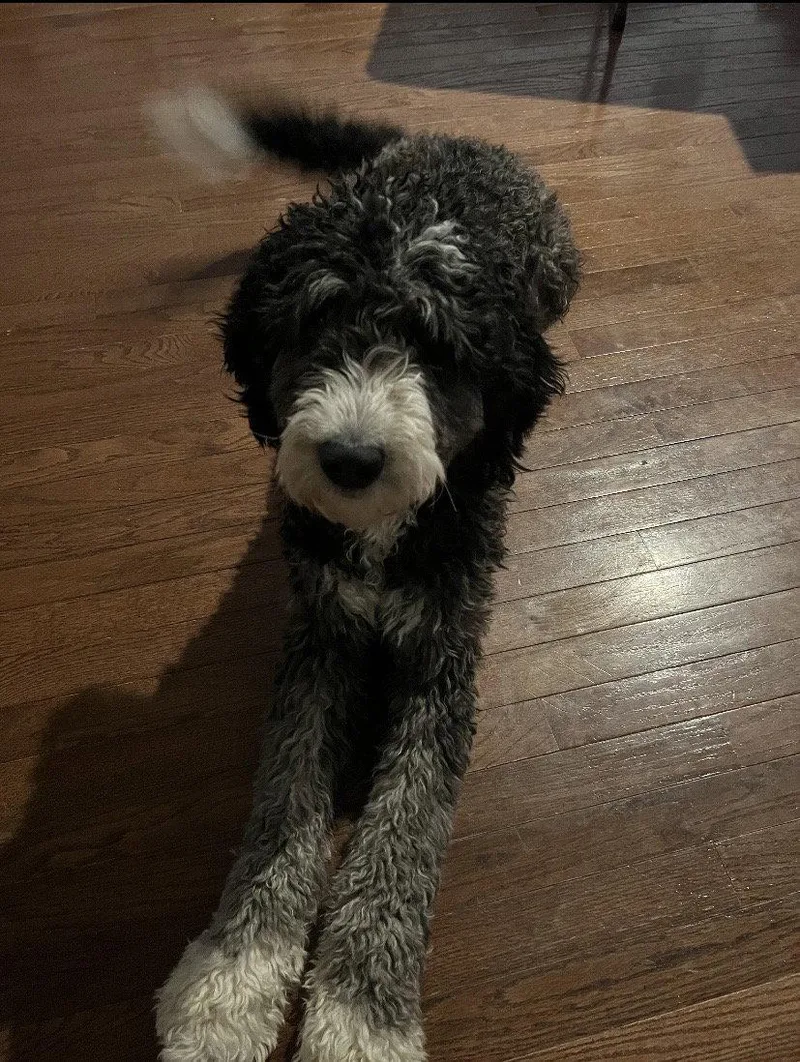 Flynn