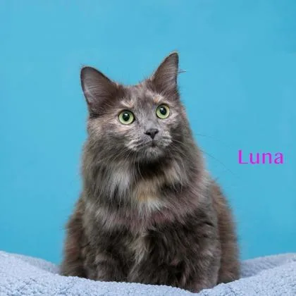 Luna