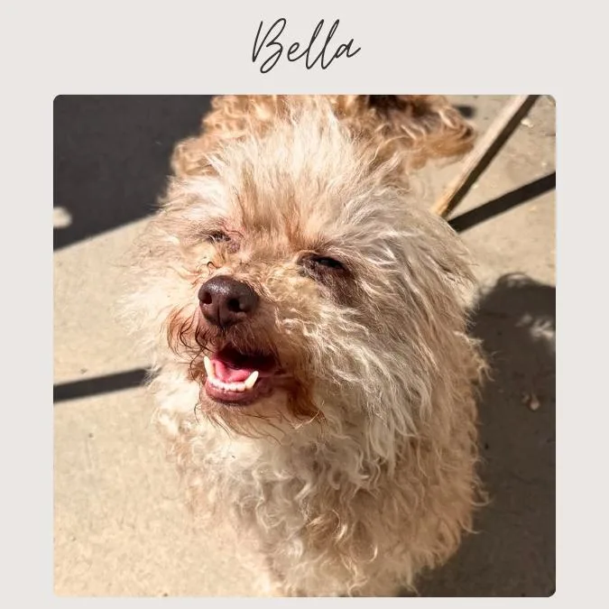 Bella