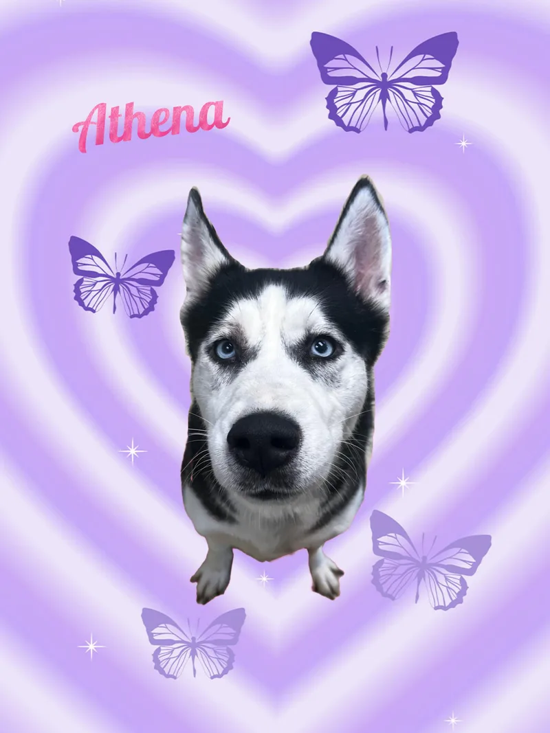Athena