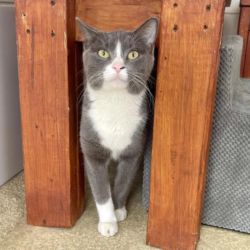 Florinda thumbnail 3