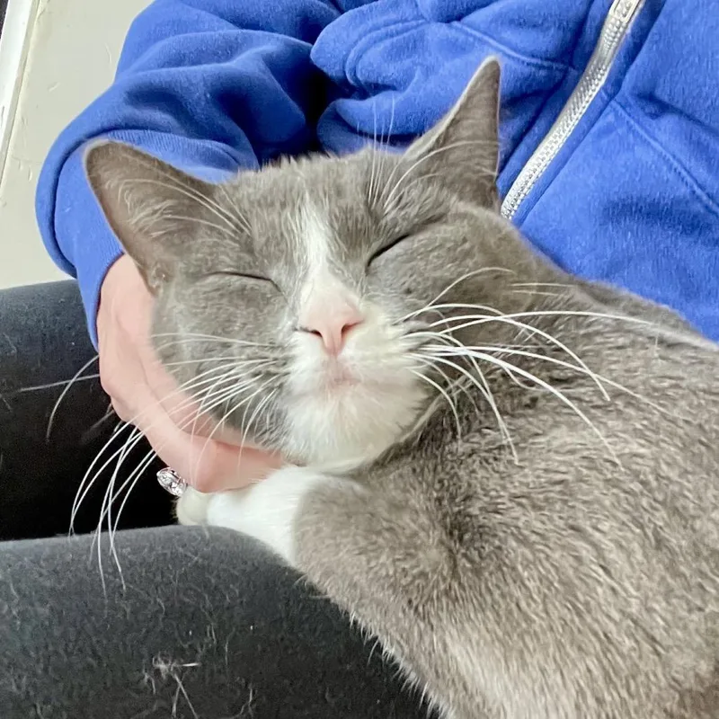 Florinda thumbnail 4