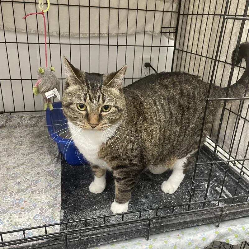 Izzy Belle thumbnail 4