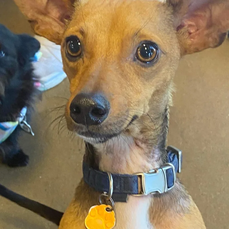 Scotty Lee thumbnail 2