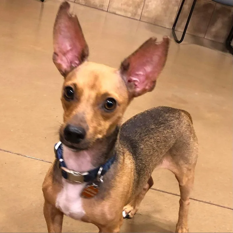 Scotty Lee thumbnail 3