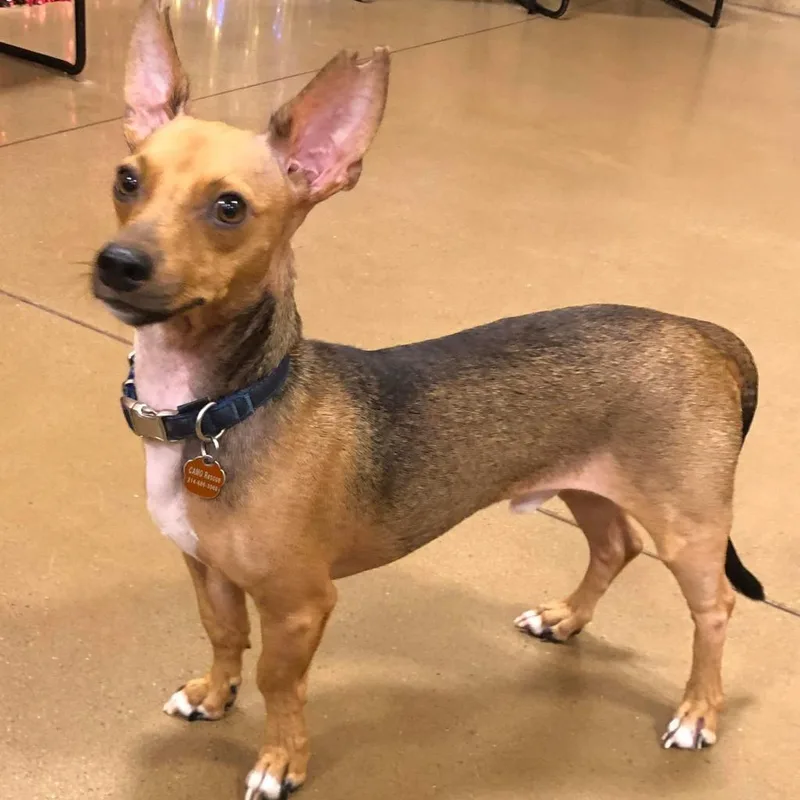 Scotty Lee thumbnail 4