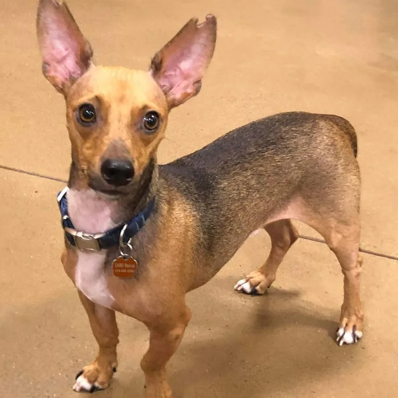 Scotty Lee thumbnail 5