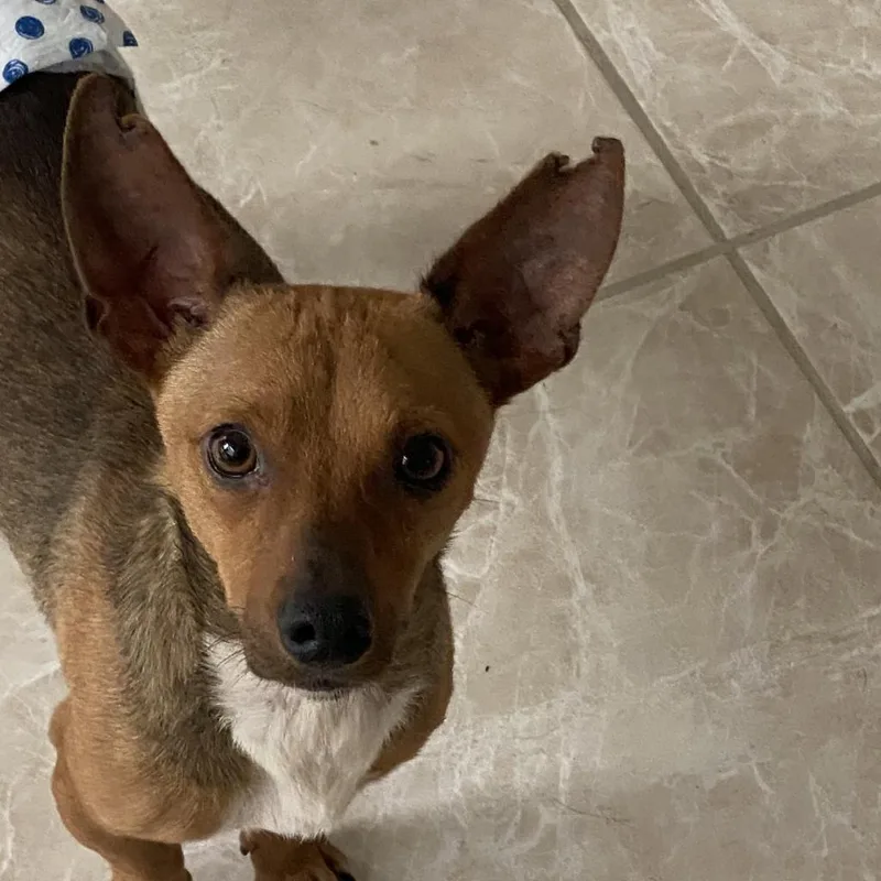 Scotty Lee thumbnail 6