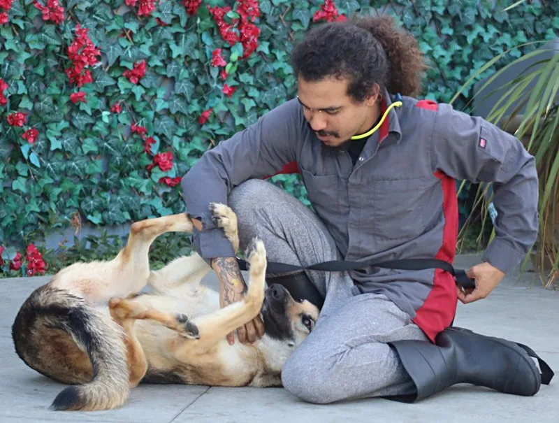 Roxanne Von Rohl" thumbnail 3