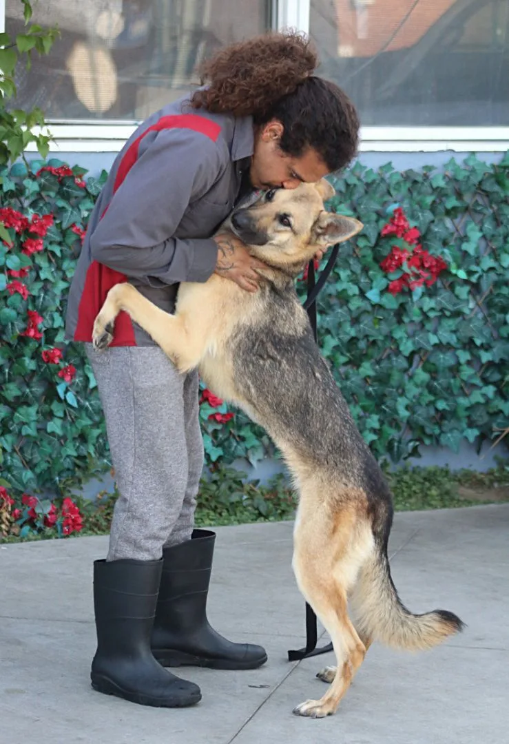 Roxanne Von Rohl" thumbnail 4