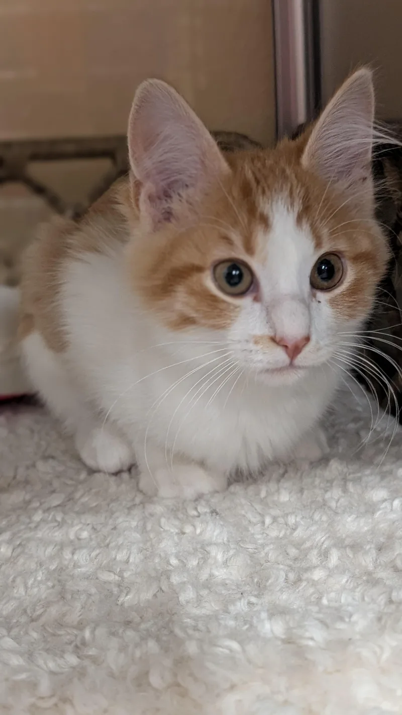 Winnie