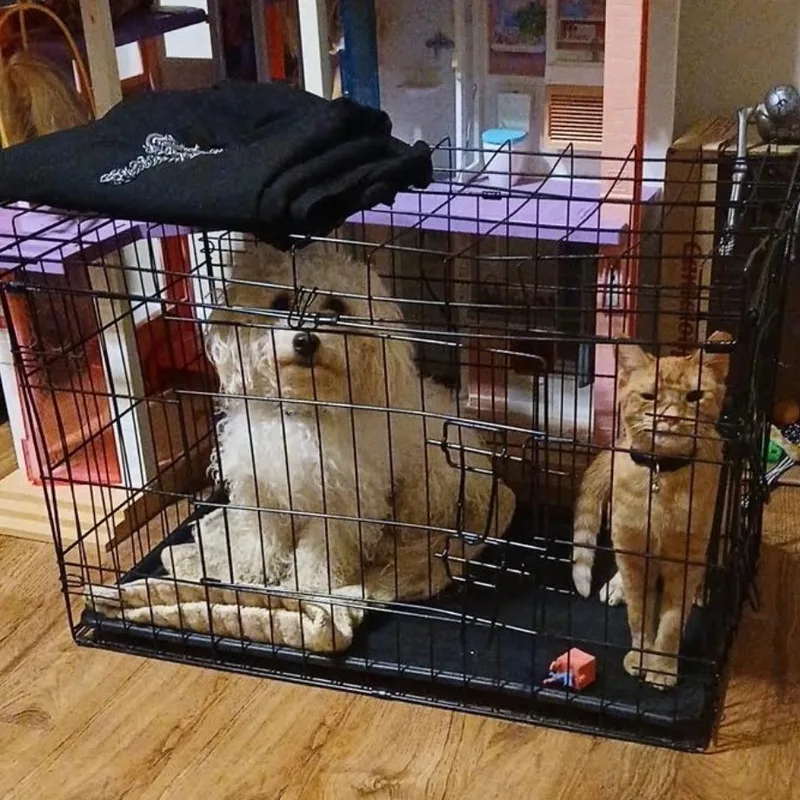 Pretty Girl thumbnail 2