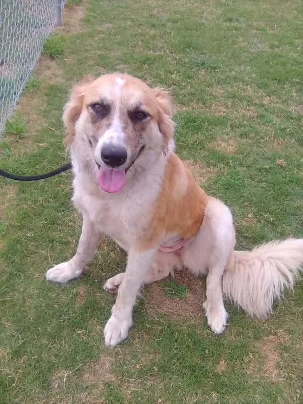 Penny  Cs thumbnail 4