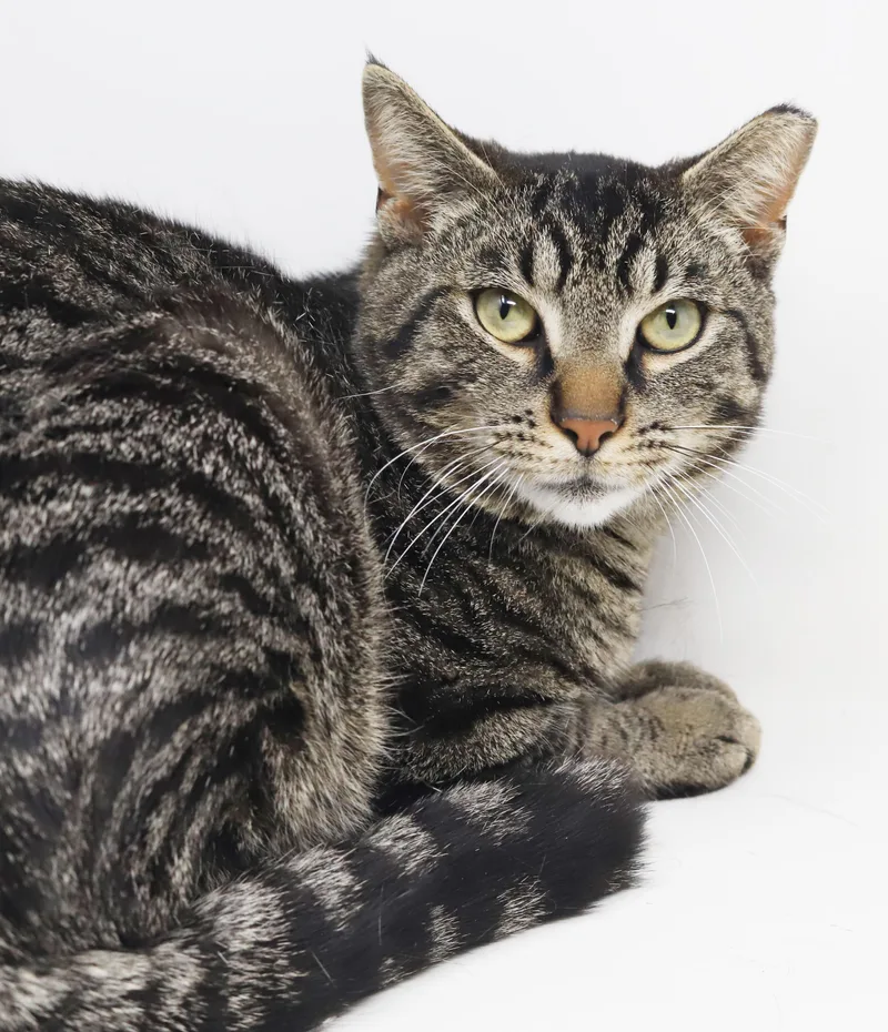 Daryl Is A Gentle thumbnail 2