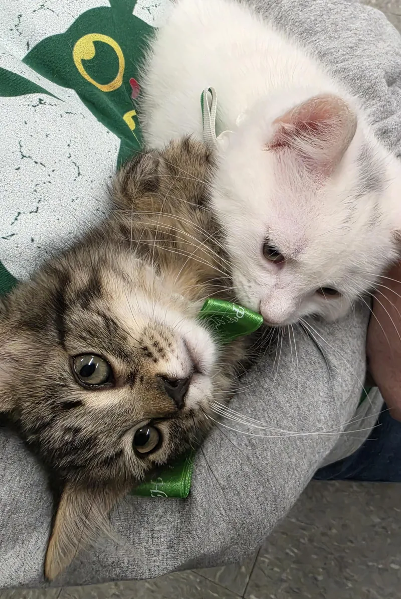 Sage & Nutmeg thumbnail 2