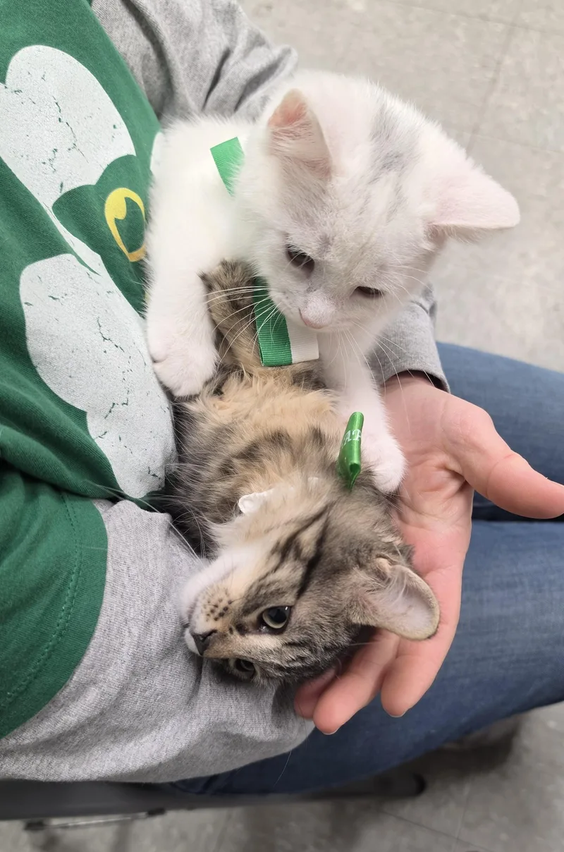 Sage & Nutmeg thumbnail 3