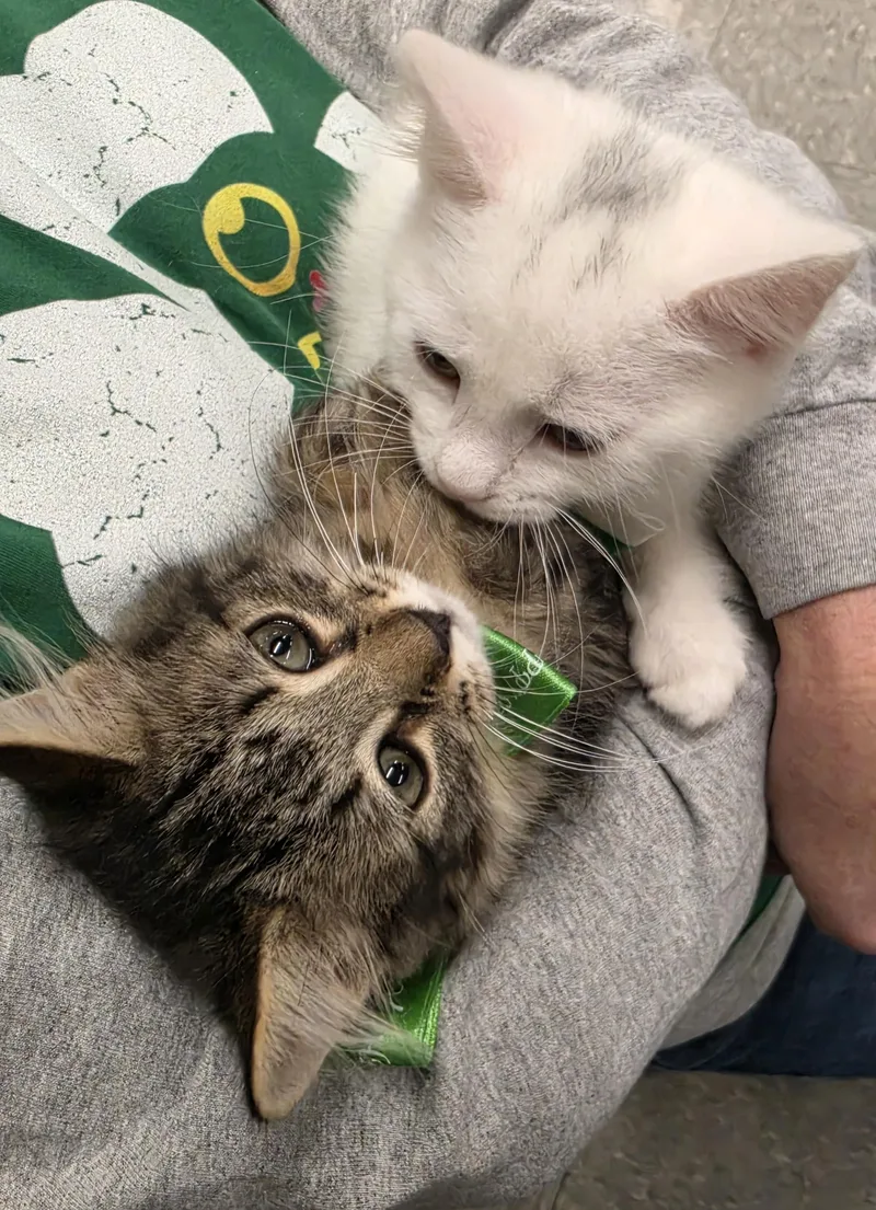 Sage & Nutmeg thumbnail 4