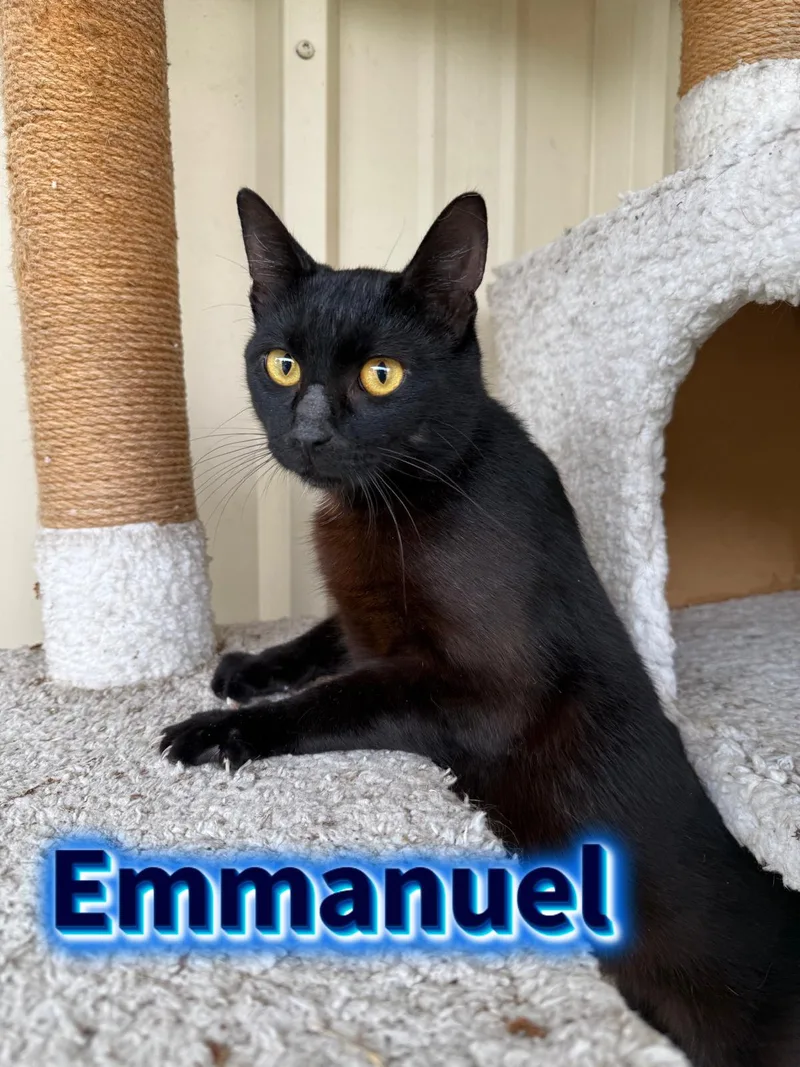 Emmanuel