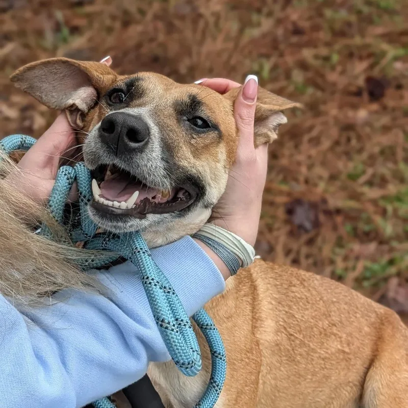 Esther thumbnail 4