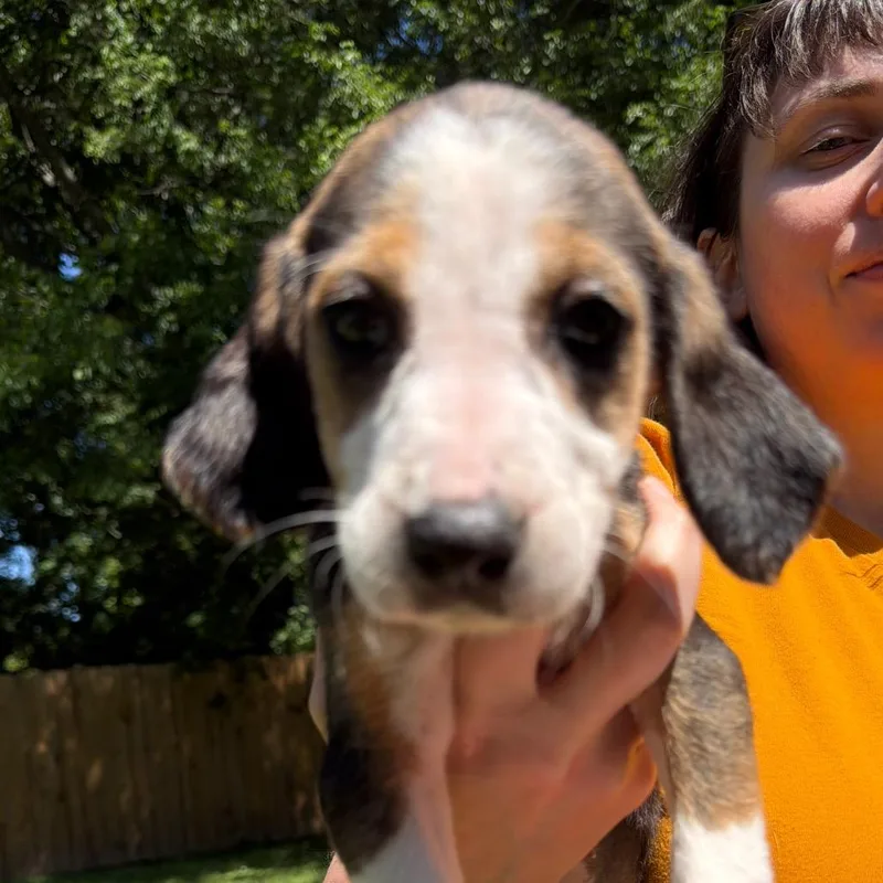 Marcia thumbnail 2