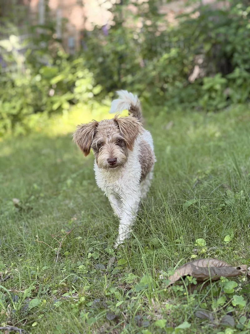 Maggie thumbnail 6