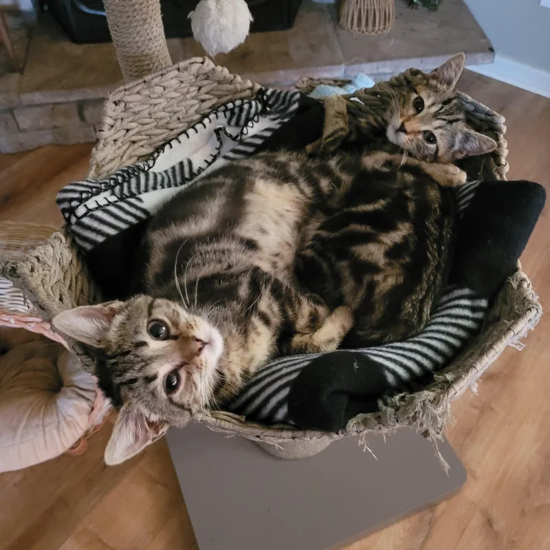 Dawson & Clarissa thumbnail 2