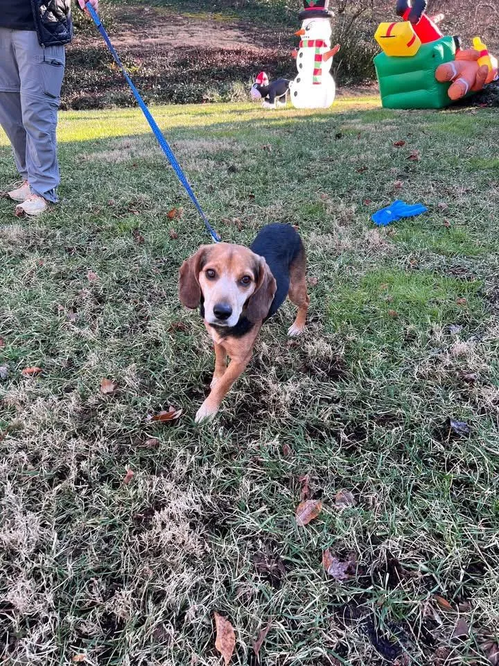 Snoop Dog thumbnail 3