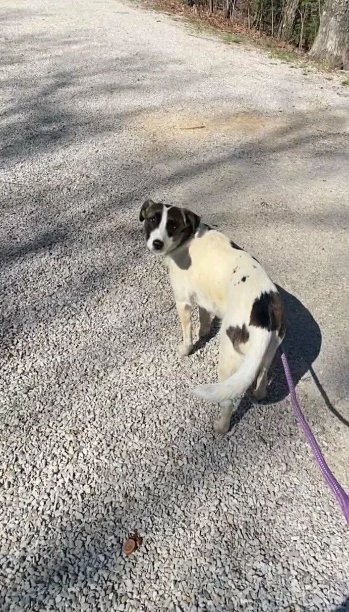 Pretty Girl Penny thumbnail 2