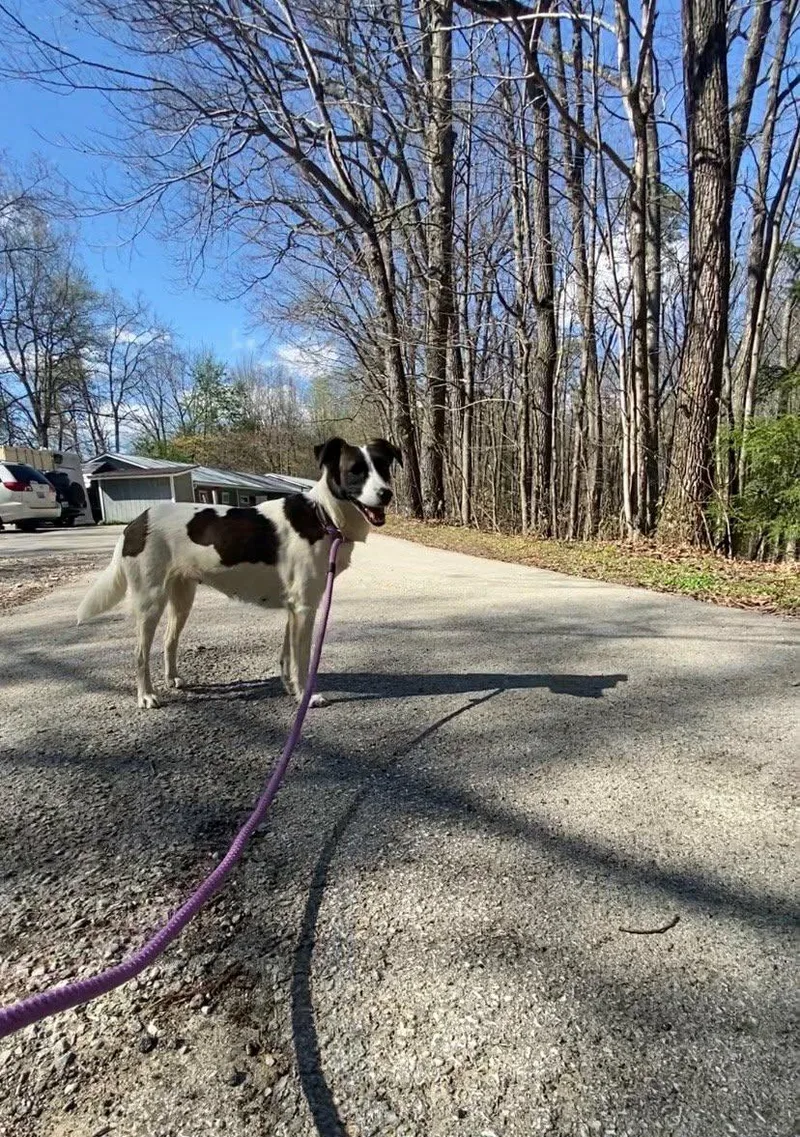 Pretty Girl Penny thumbnail 3