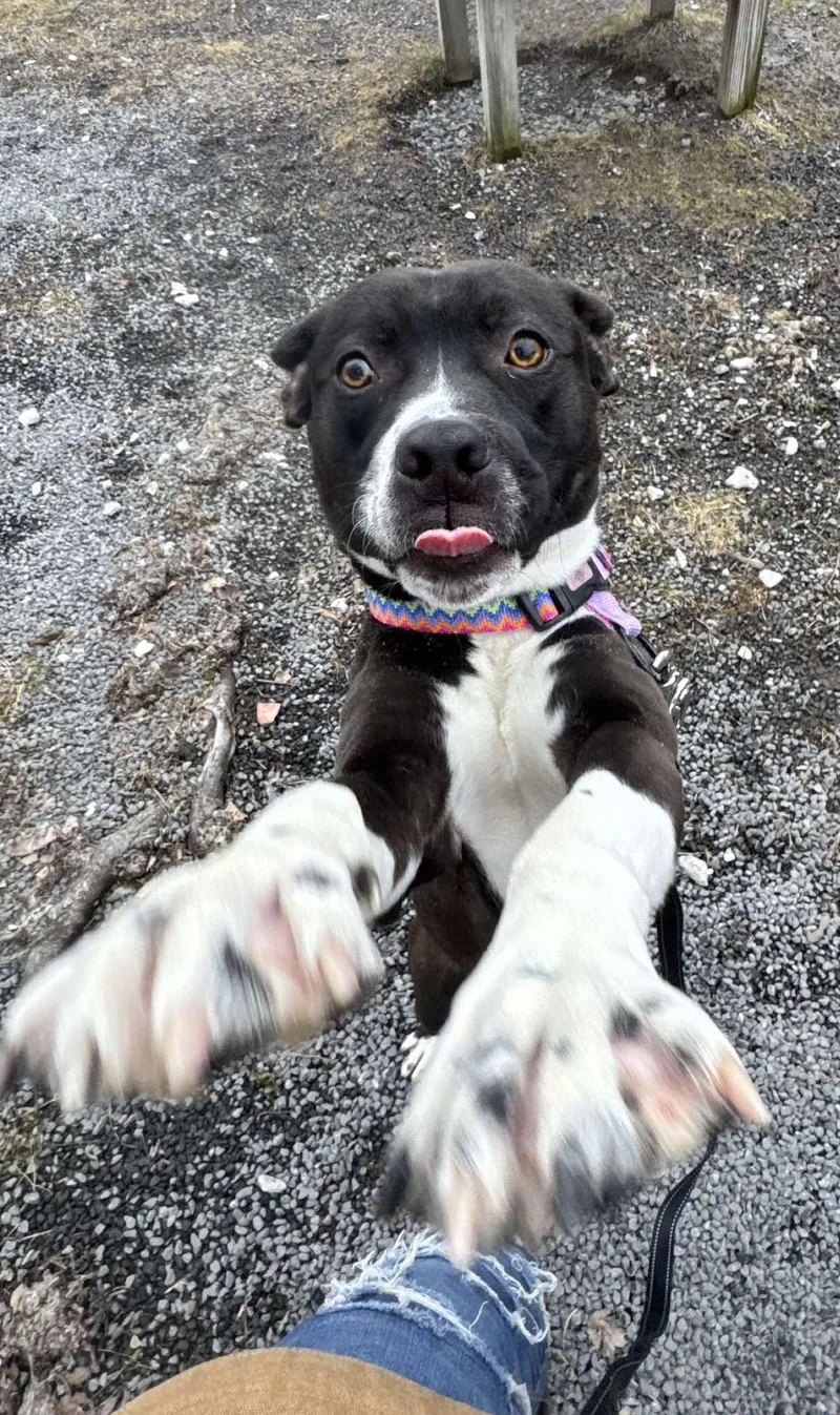 Wild Child thumbnail 2