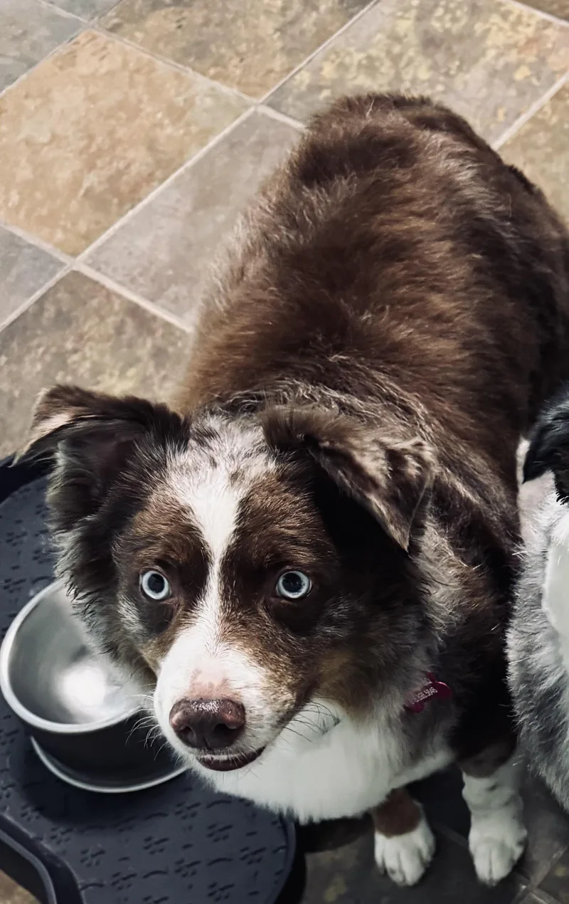 Zeus