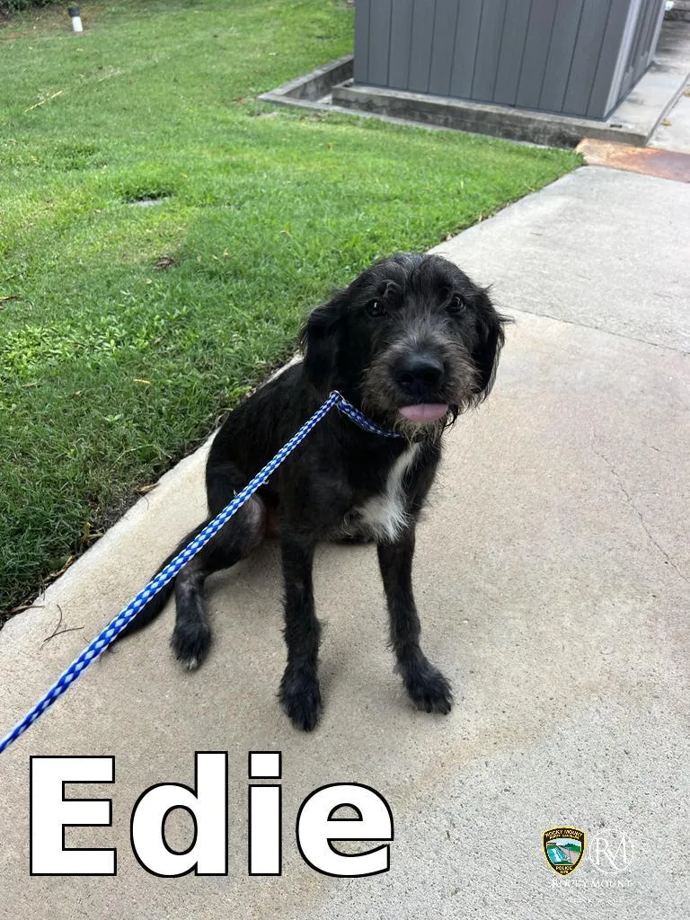 Edie