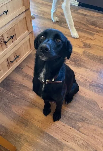 Mama Tracy thumbnail 2