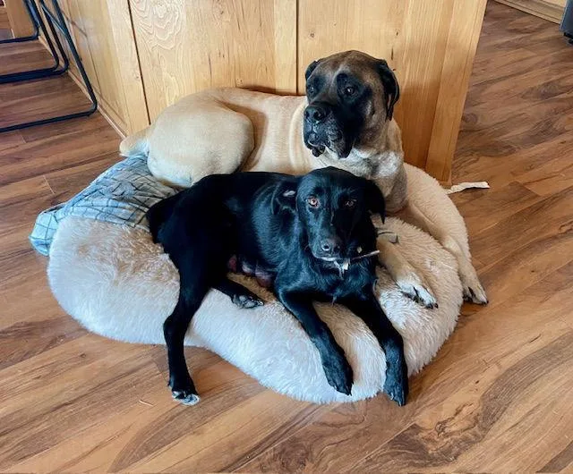 Mama Tracy thumbnail 3