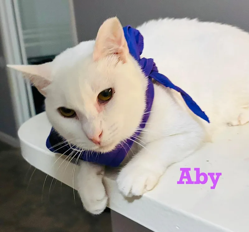 Aby