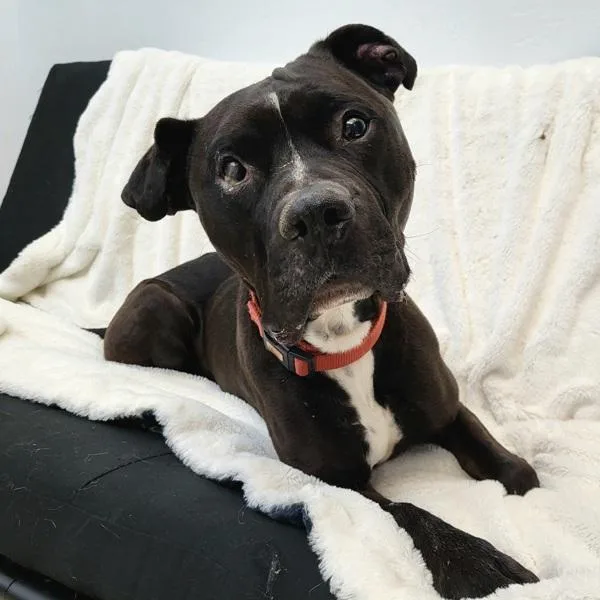 Harry Potter thumbnail 3