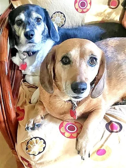Wally & Trudy