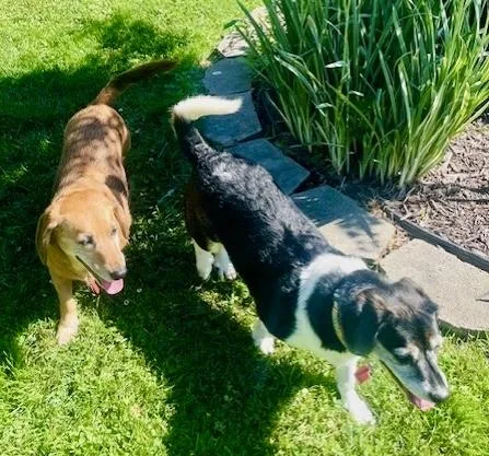 Wally & Trudy thumbnail 3