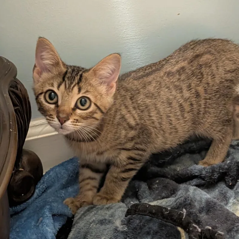Chloe thumbnail 3