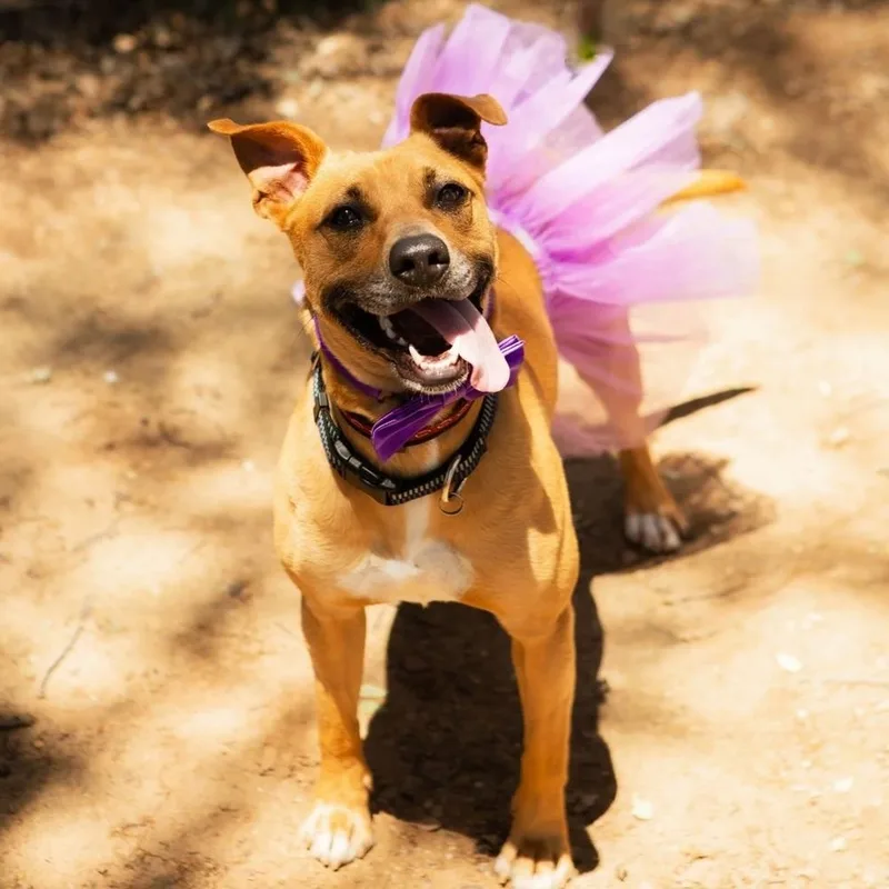 Baby Girl thumbnail 2