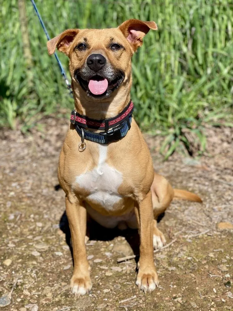 Baby Girl thumbnail 4