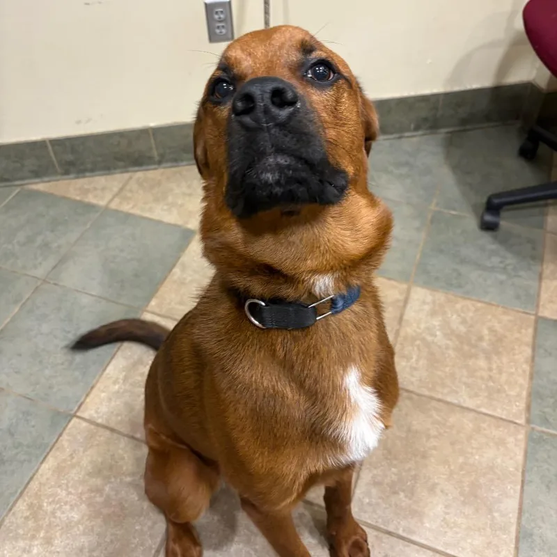 Gazpacho thumbnail 2