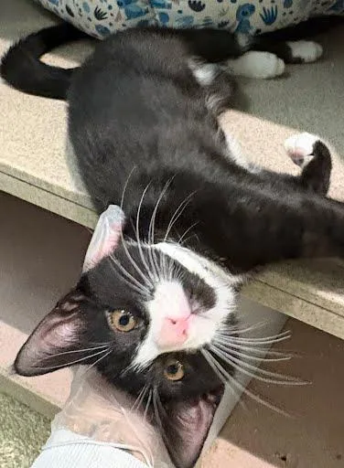 Andy