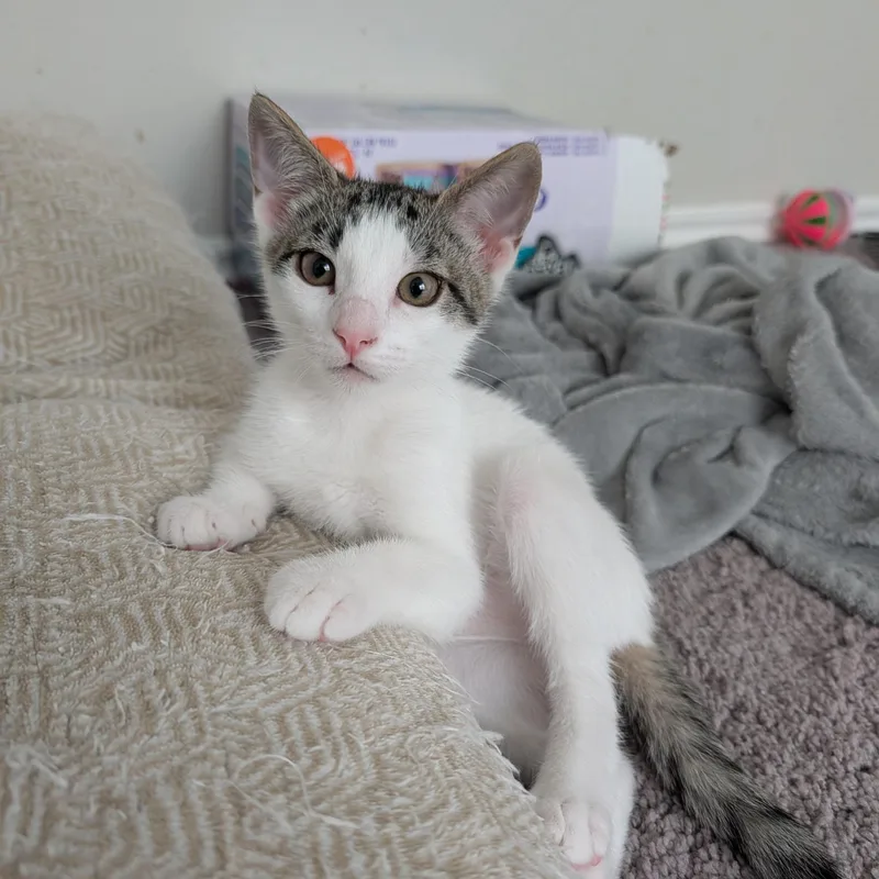 Baby Mia thumbnail 3